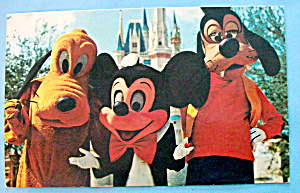 Magic Kingdom Postcard