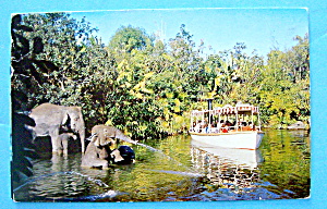 Elephant Bathing Pool Postcard