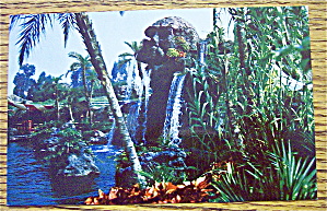 Pirate's Cove In Disneyland Postcard (Magic Kingdom)