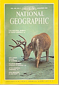 National Geographic Magazine - November 1981