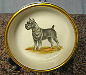 Jackson China Vintage Dog Bowl