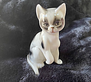 Ouch, Cats Of Character Bone China Cat Figurine