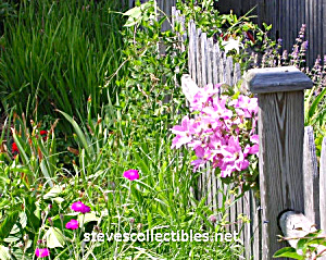 Boundaries - Garden Fence No. 1 Photograph-ltd Edition